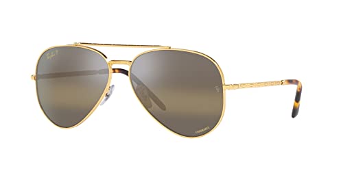 Legend Gold/Polarized Clear Gradient Dark Brown