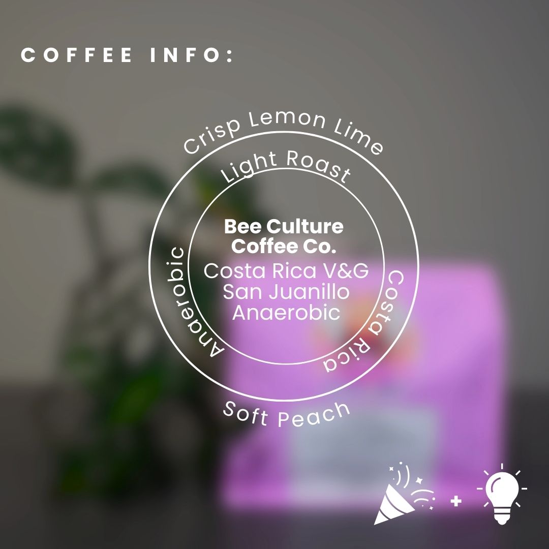 Premium Costa Rica V & G San Juanillo Anaerobic Coffee Beans - Single Origin Specialty Coffee for Home Brewing, Espresso & Gifts | Bee Culture Coffee Company