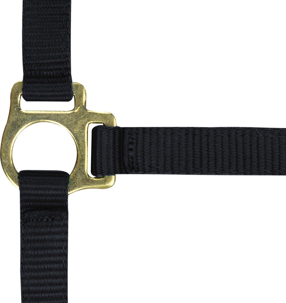 Red Nylon Foal Halter - Adjustable & Durable for Young Horses - Perfect for Training, Grooming, and Show Preparation