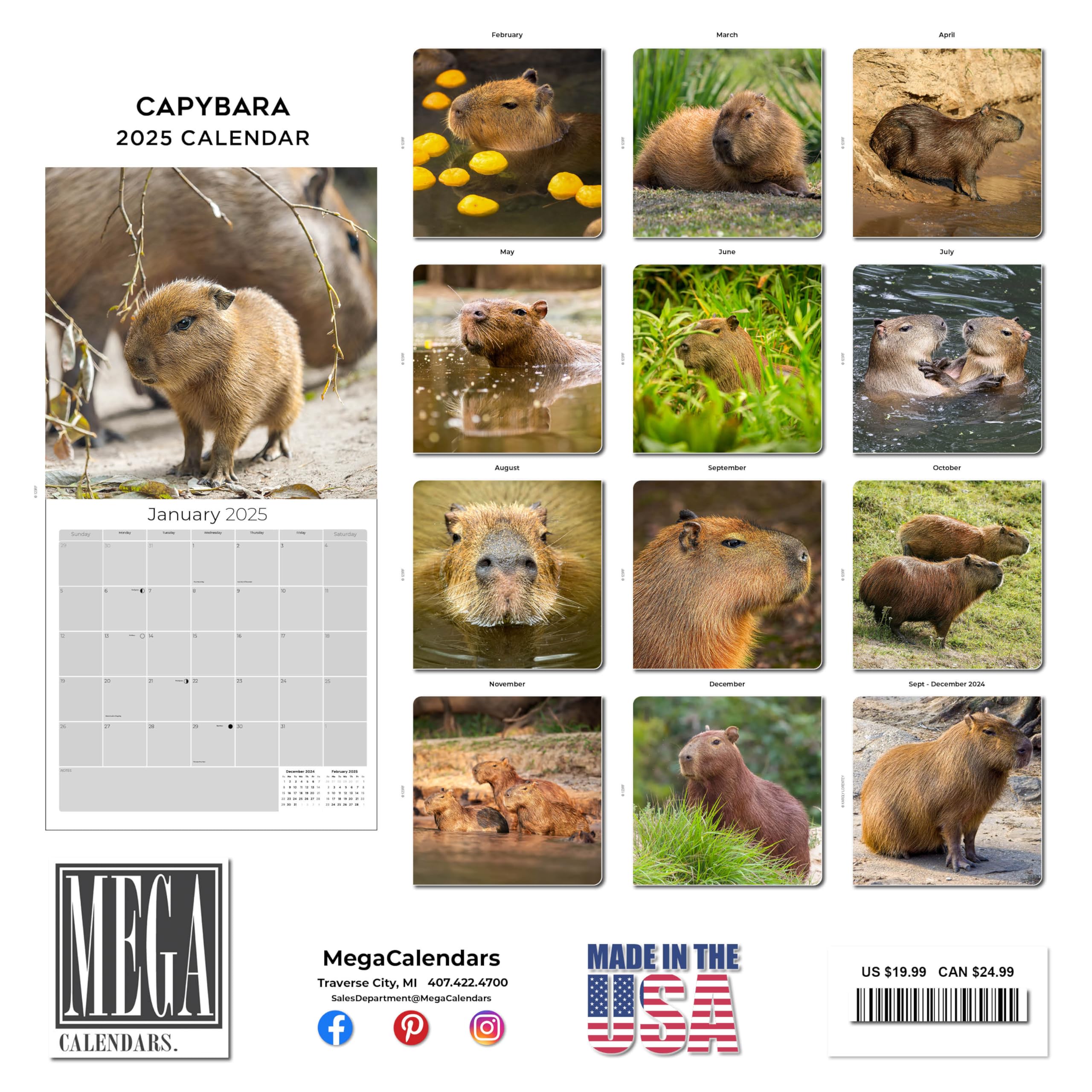 2024-2025 Capybara Wildlife Wall Calendar - 12