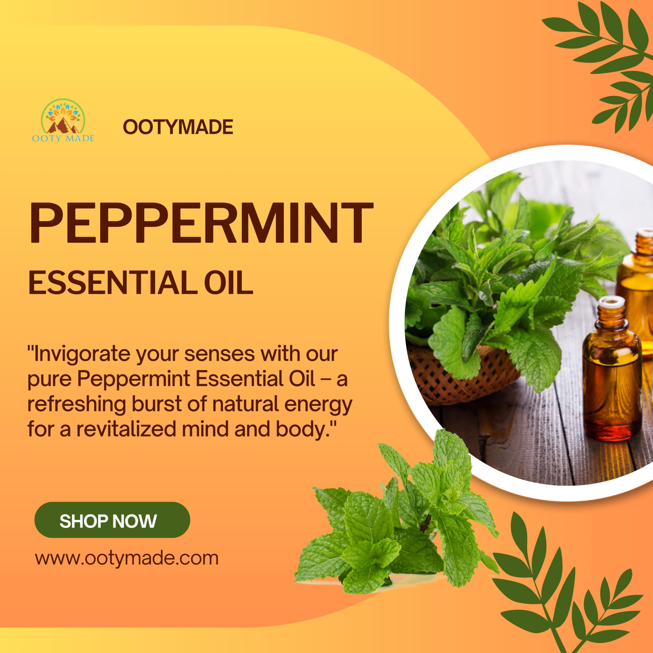 OotyMade.com Pure Nilgiris Peppermint Essential Oil – 10ml | Organic Hair Growth & Hair Fall Control | Skin Care & Aromatherapy | Natural Stress Relief | Perfect for Diffusers, Massage & DIY Beauty Products