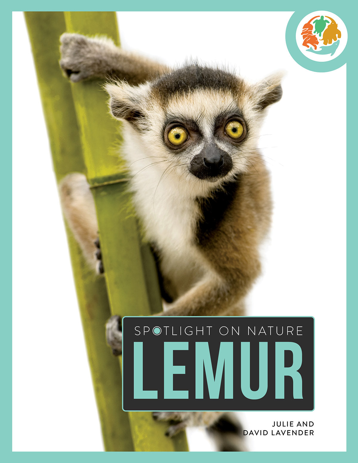 Lemur Plush Toy - Soft & Cuddly Stuffed Animal for Kids & Collectors | Perfect for Gifts, Nursery Decor & Playtime