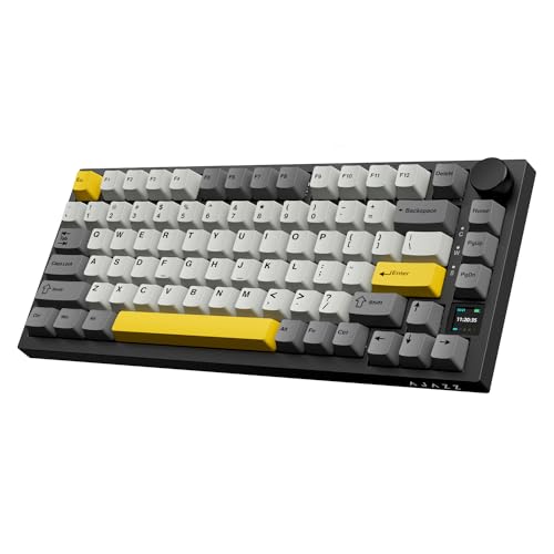 Black(Flying Fish Switch)