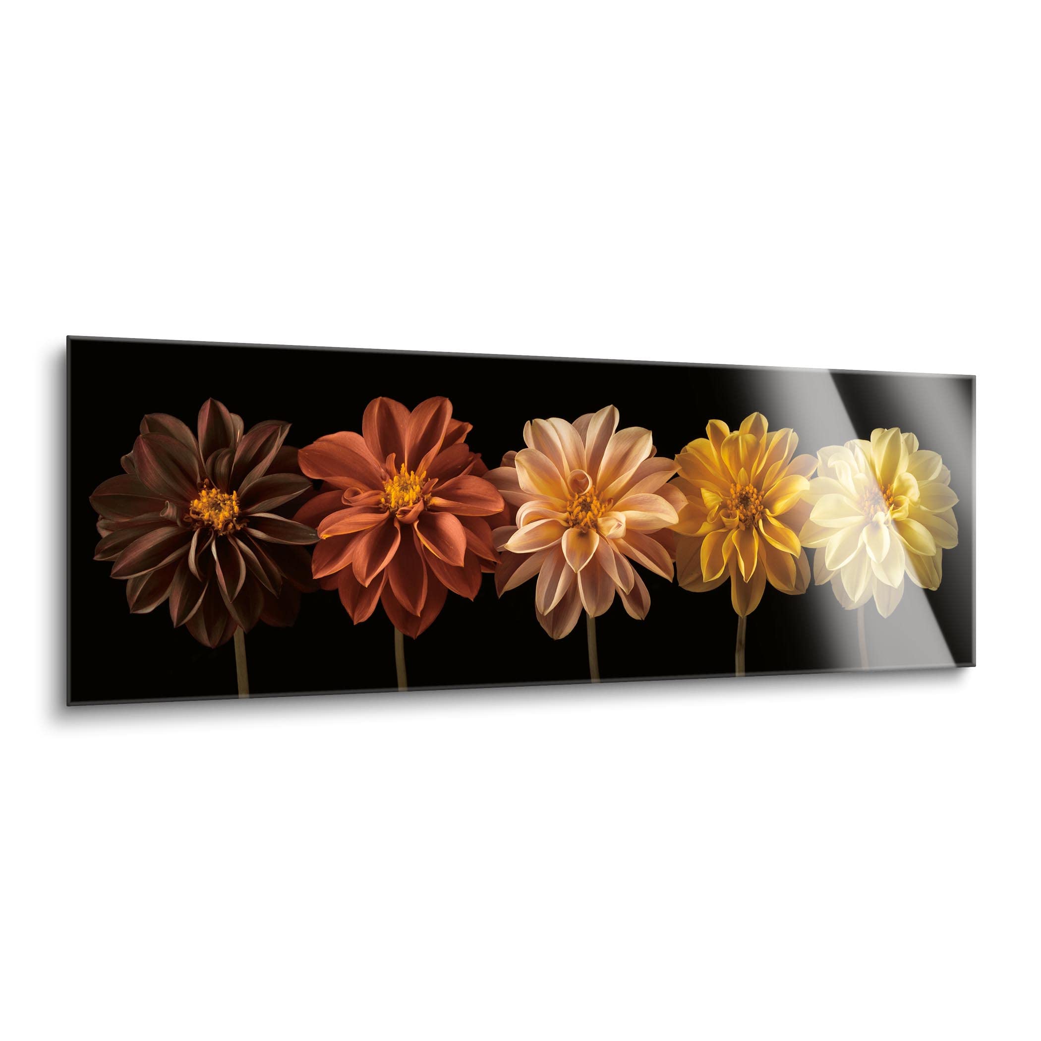 SOULFINE Frameless Tempered Glass Wall Art - 36
