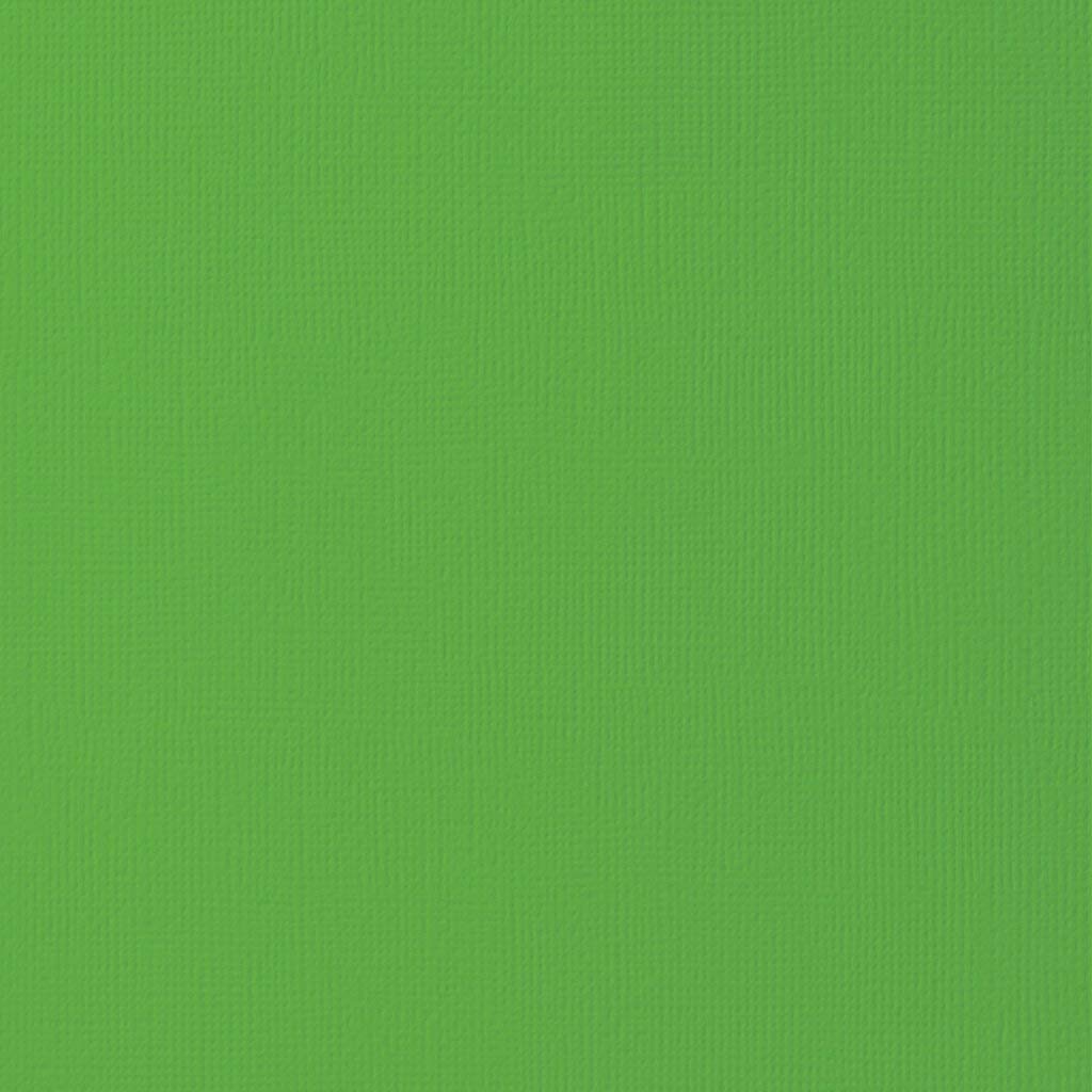 American Crafts Textured Cardstock - 25 Sheets, Grass Green | Premium Scrapbooking Paper for Card Making, DIY Crafts, and Home Decor Projects