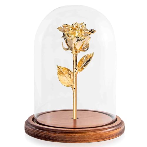 Gold Dipped Rose (With Dome)