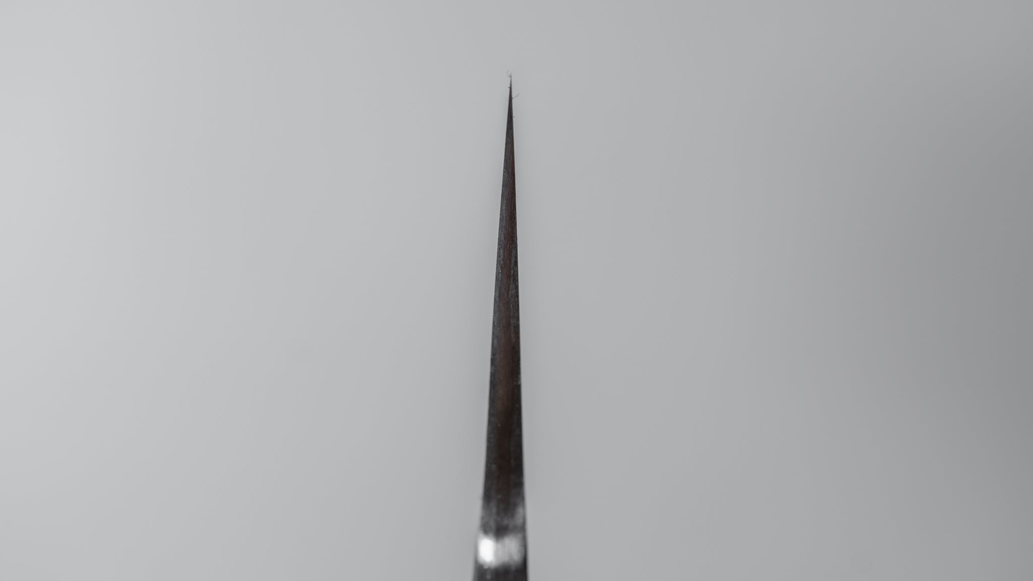 Premium Jiro Tsuchime Wa Gyuto 240mm Japanese Chef Knife - Taihei Tagayasan Handle (#305) - Perfect for Sushi, Meat Cutting & Professional Kitchen Use
