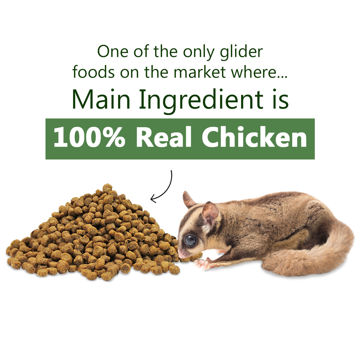 Premium ZooPro Glider Essential Sugar Glider Food - Complete Nutrition for Pet Sugar Gliders - Perfect for Daily Feeding & Treats at Home or Travel