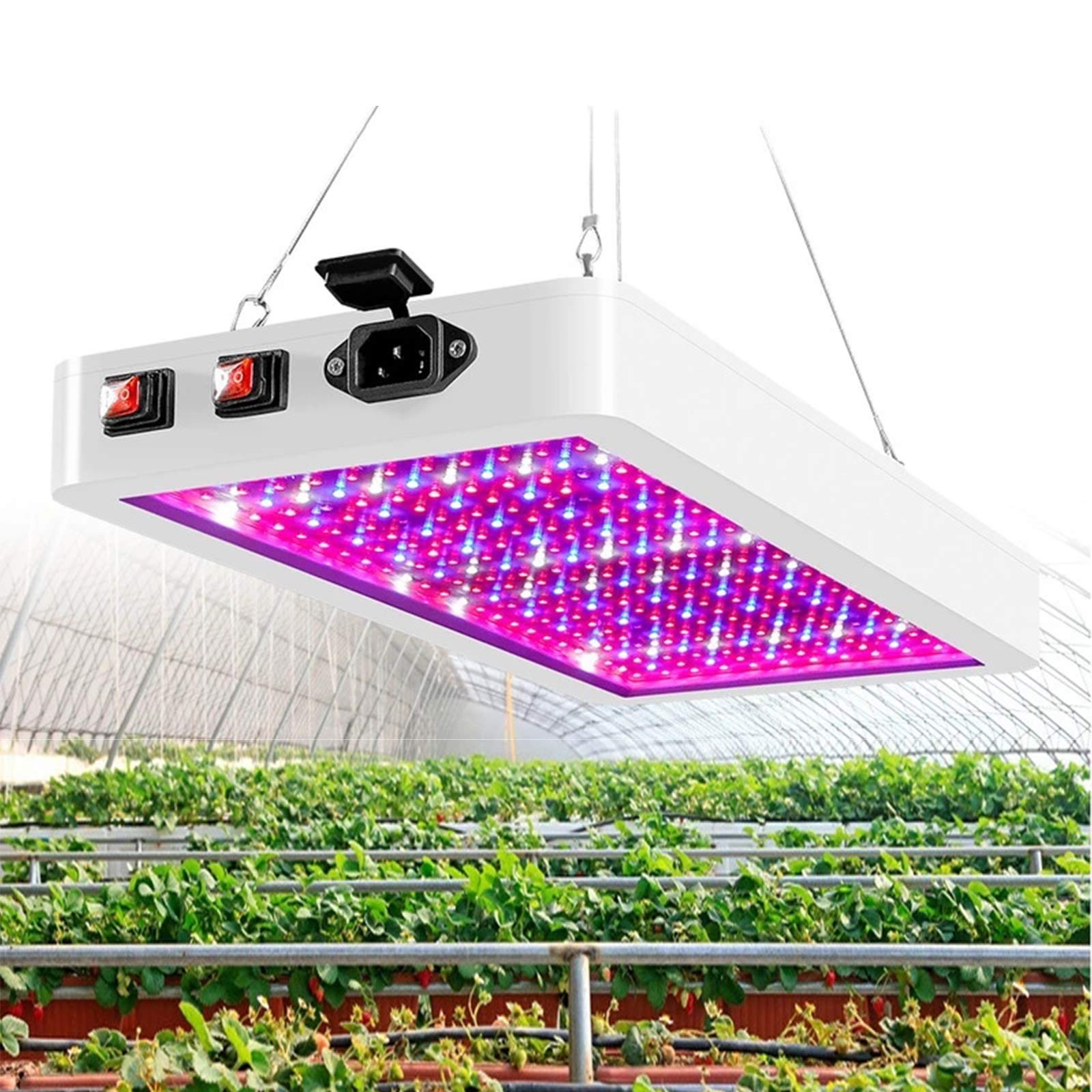 2000W Full Spectrum LED Grow Light for Indoor Plants - Adjustable Double Switch with 312 LEDs, Waterproof & Anti-Leakage - Ideal for Greenhouse, Hydroponic Systems, Veg & Flower Growth (Perfect for Tomatoes, Herbs & Cannabis)