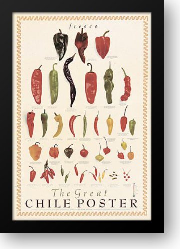 Vibrant Chile Landscape Framed Art Print 28x40 - Stunning Wall Decor by Mark Miller | Perfect for Living Room, Office & Home Decor