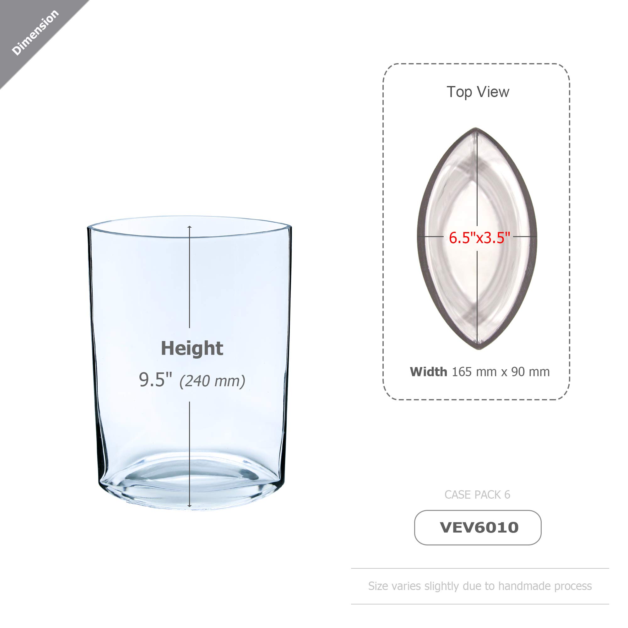 WGV 12-Pack Oval Glass Vases - 6.5