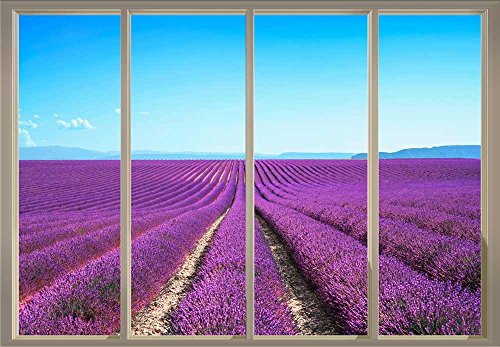 Purple Flowers