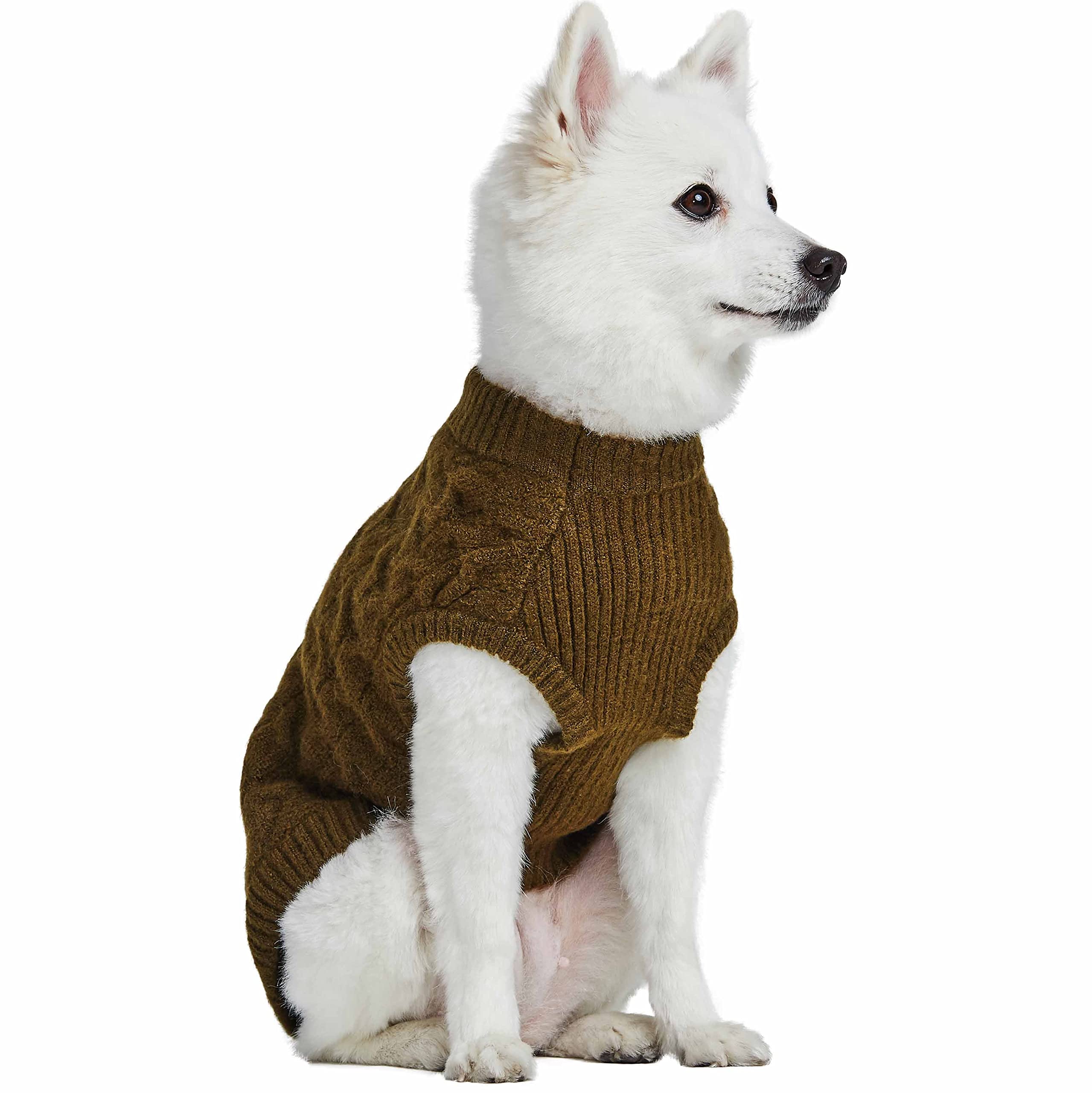Dark Olive Blueberry Pet Classic Fuzzy Knit Dog Sweater - Cozy Fleece Pullover for Small Dogs, 12