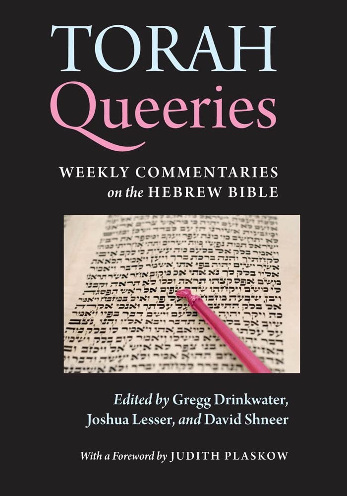 Torah Queeries: Weekly Commentaries on the Hebrew Bible - Jewish Study, LGBTQ+ Perspectives & Modern Biblical Interpretation for Book Clubs & Personal Reflection