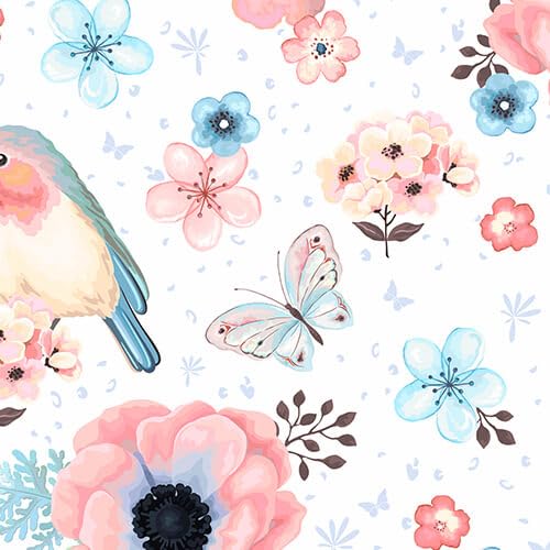 Butterfly Bird