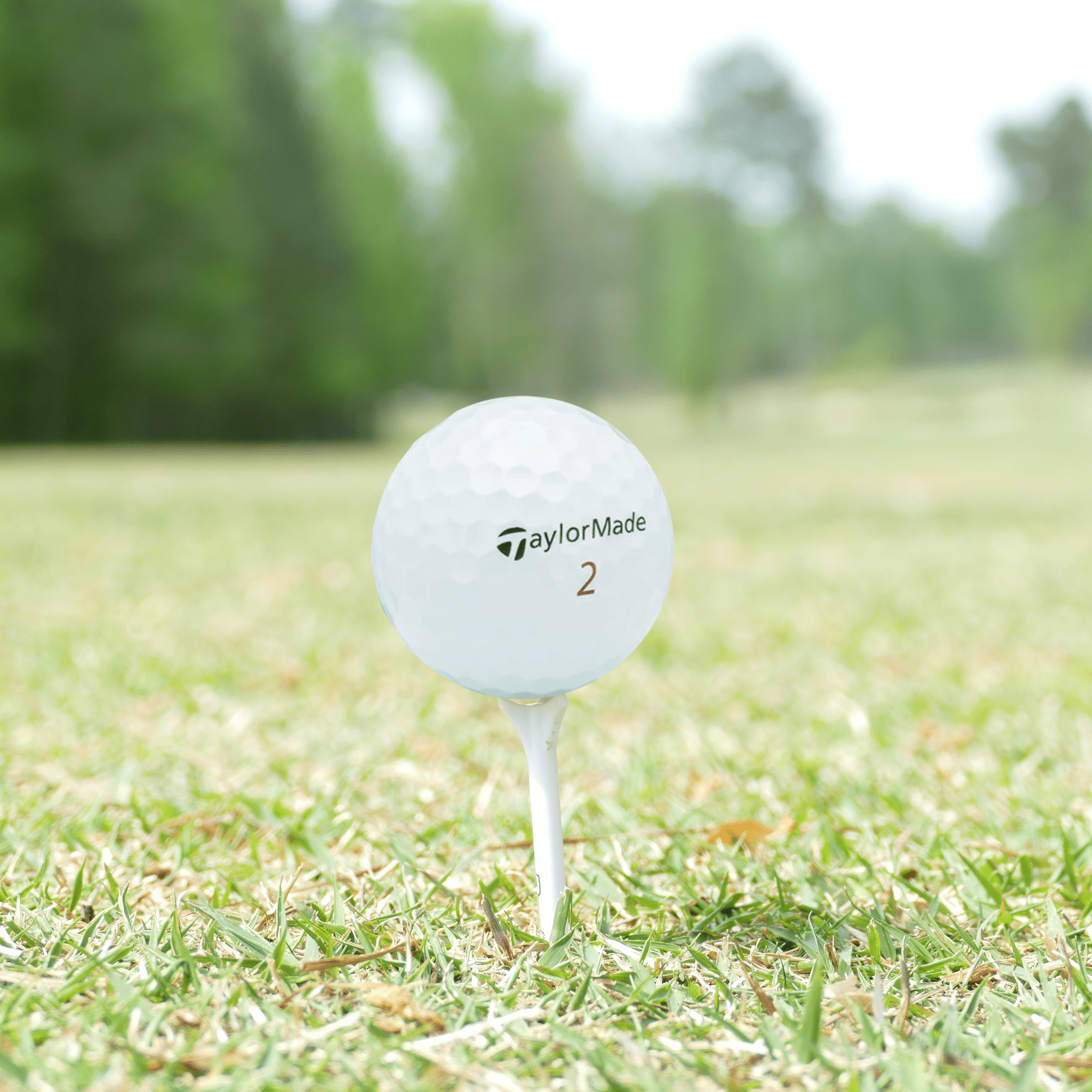 Premium Used TaylorMade 2020 TP5x Golf Balls - 12 Pack (1 Dozen) | High-Performance Golf Equipment for Practice & Tournament Play