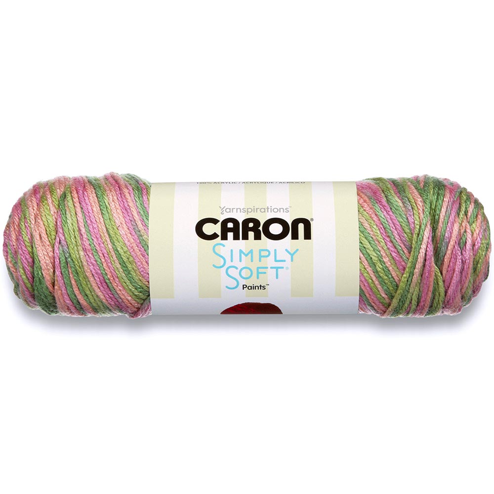 Simply Soft Paints Yarn - Ultra Soft Acrylic Yarn for Baby Blankets & Knitting - Baby Brights Color Collection - Perfect for DIY Baby Gifts, Crochet Projects & Cozy Crafts