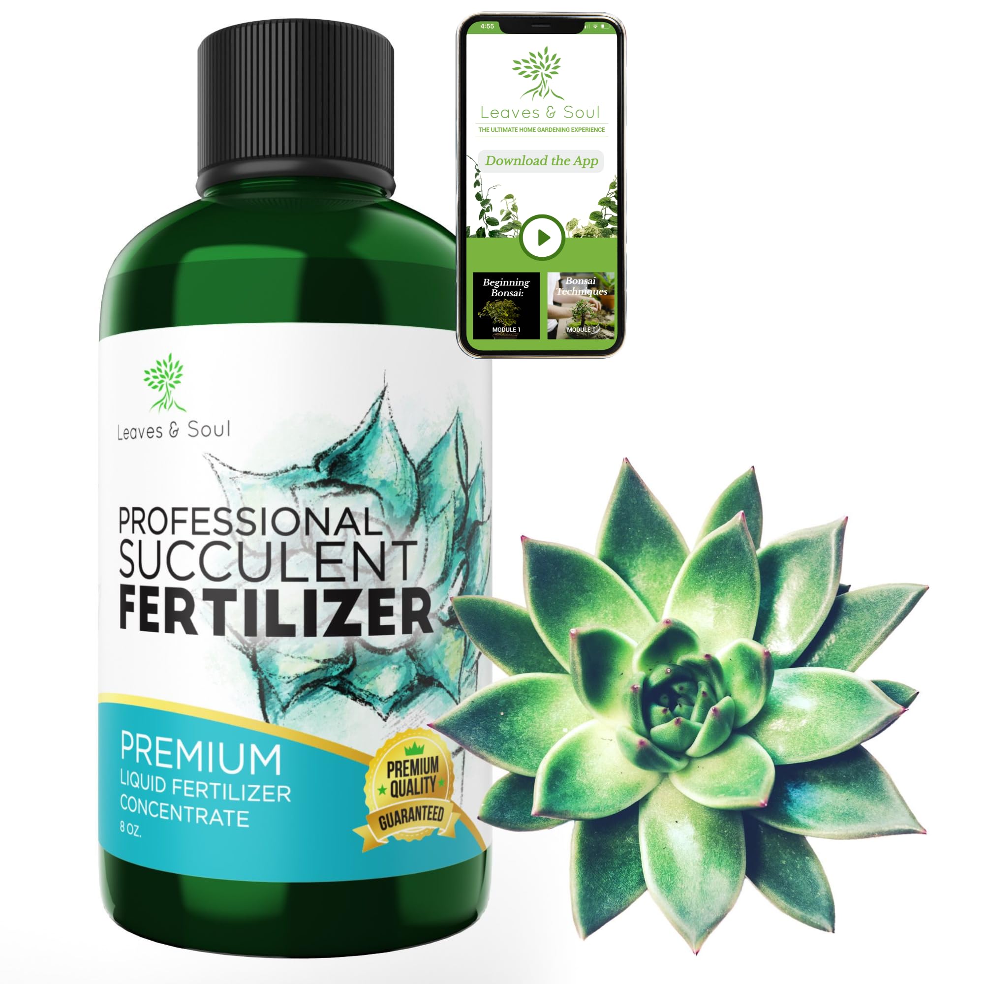 Premium Liquid Succulent Plant Food - 3-1-2 NPK Concentrated Fertilizer for Succulents, Cacti & Flowers | All-Purpose Nutrient Solution for Indoor & Outdoor Gardening | 8oz Bottle | Perfect for Home Decor, Office Plants & Garden Care