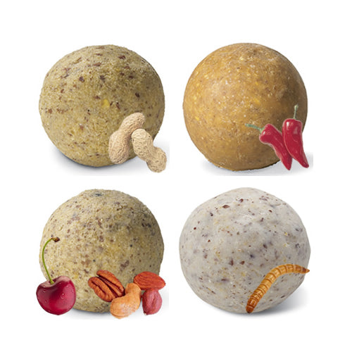 Premium Suet Ball Sampler for Wild Birds - Set of 16 High Energy Bird Feed Cakes - Ideal for Backyard Bird Feeding, Woodpeckers & Winter Bird Watching