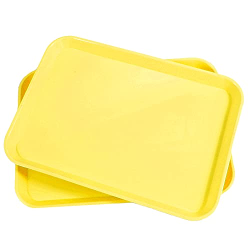 2Pcs Autoclavable Dental Procedure Tray Set - Lockable B-Lok Flat Trays Size B (13.25