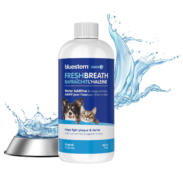 Bluestem Original Flavor Pet Dental Water Additive for Cats & Dogs - Freshens Breath & Supports Oral Health | Easy-to-Use Dental Care Solution for Pets at Home