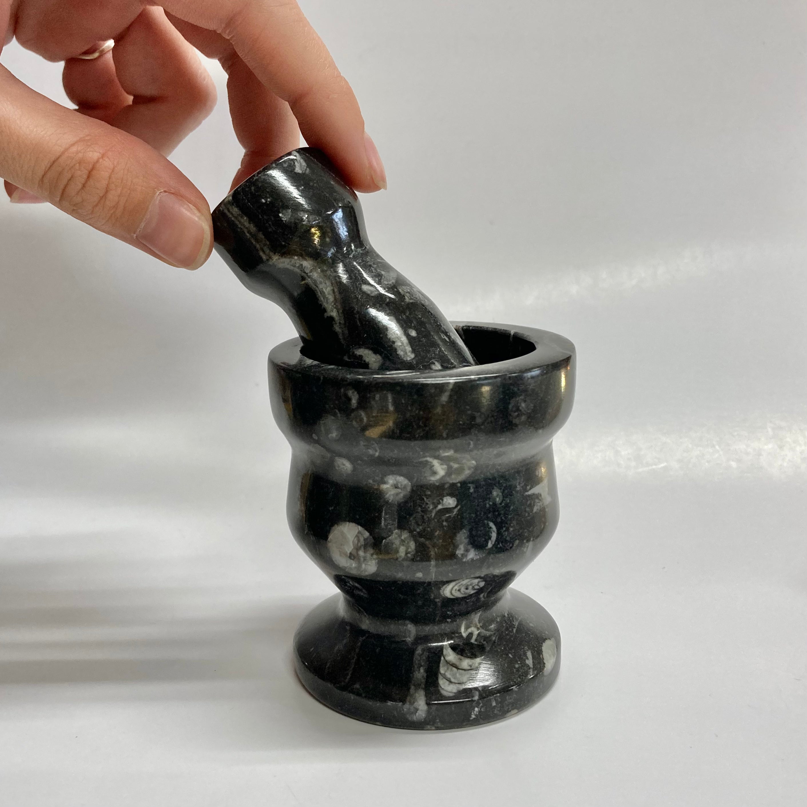 Premium Orthoceras Fossil Mortar and Pestle Set - Natural Stone Spice Grinder for Herbs, Salt & Pepper - Perfect for Kitchen, Cooking & Ayurvedic Medicine Preparation