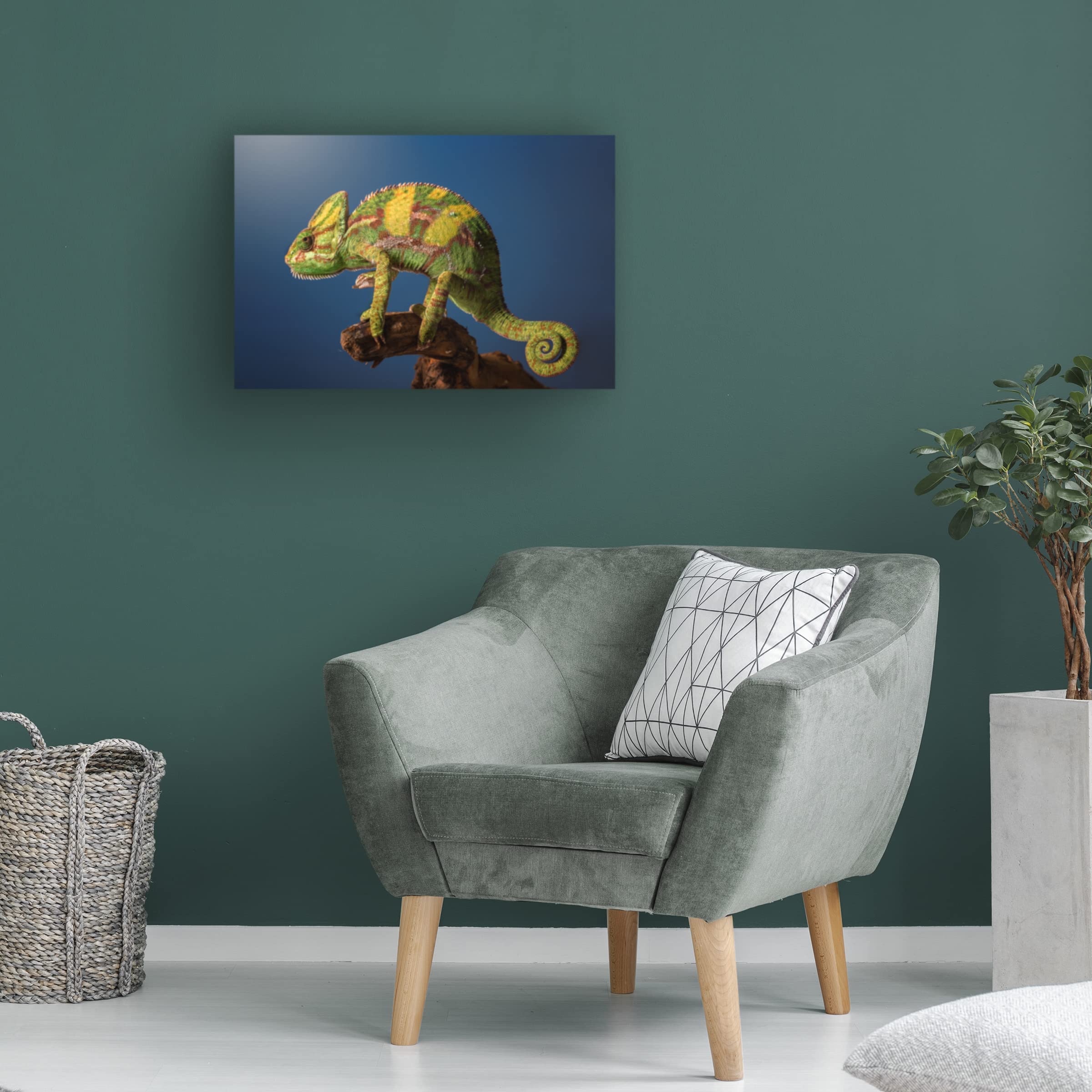 Jose Garcia 'Curro' Canvas Art Print - Handmade Wall Decor for Living Room, Bedroom & Office - Trademark Fine Art Collection