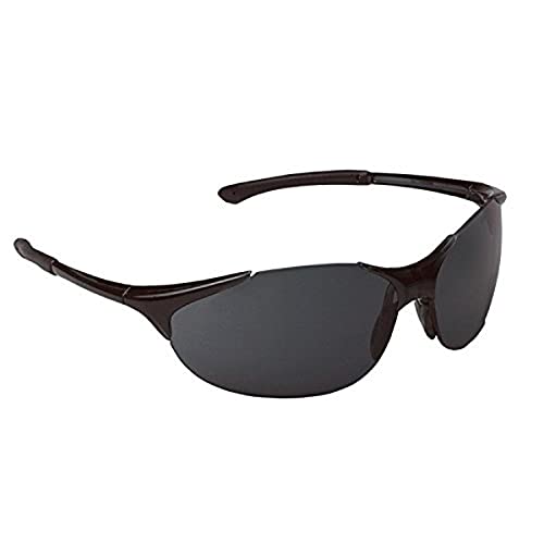 Black Frame/Smoke Lens