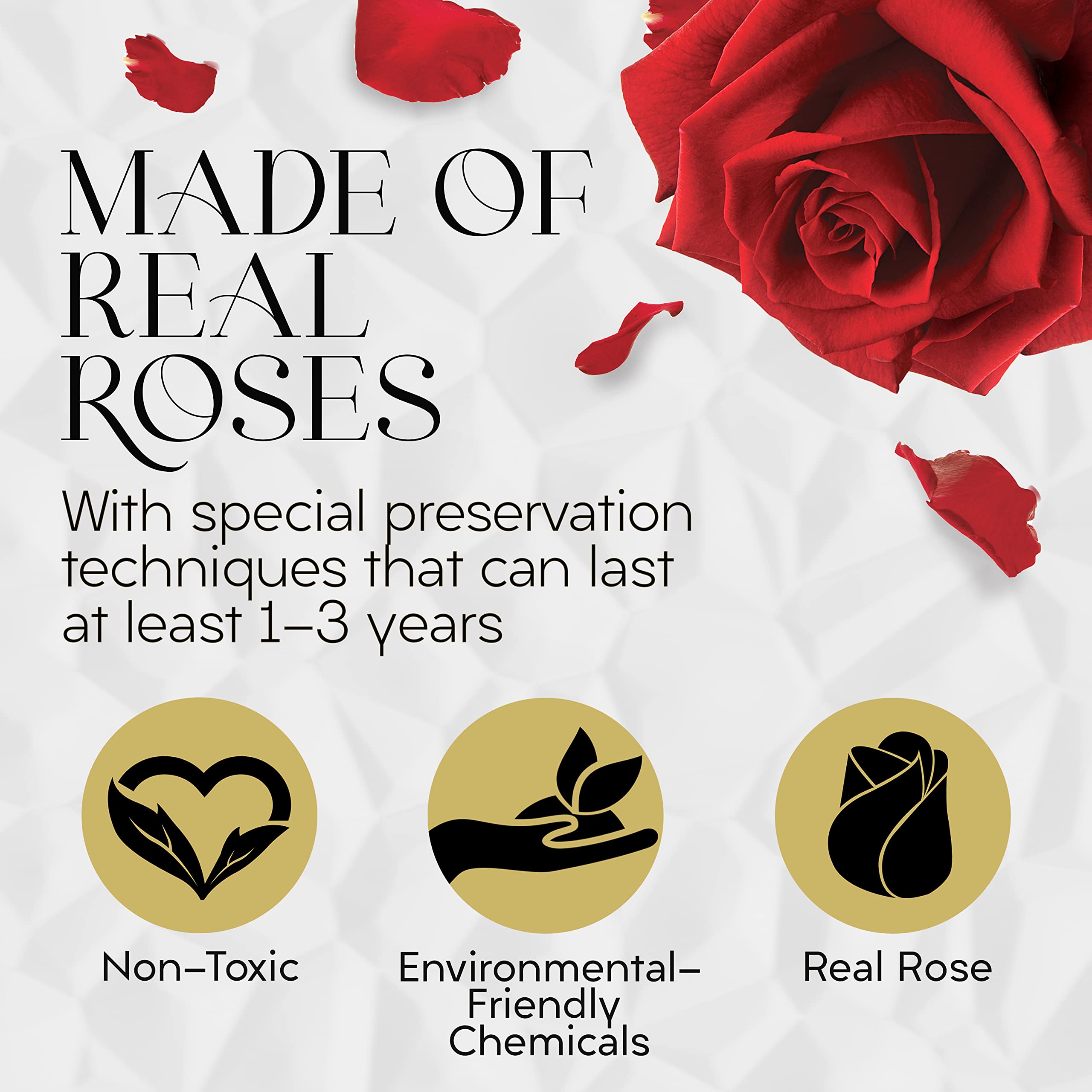 Eternal Preserved Roses in a Gift Box - Real Touch Forever Roses for Women, Romantic Birthday & Anniversary Gifts for Her, Valentine's Day Present - Perfect for Home Decor, Wedding Centerpieces, and Special Occasions