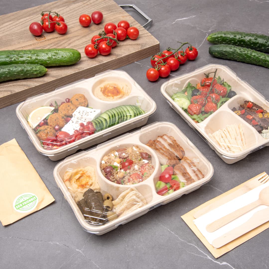 Restaurantware 100-Pack Disposable PET Plastic Lids for To-Go Containers - 9.5 x 6.4 Inch Clear Pulp Tek Lids (Containers Sold Separately) - Perfect for Food Service, Takeout Meals & Catering Events