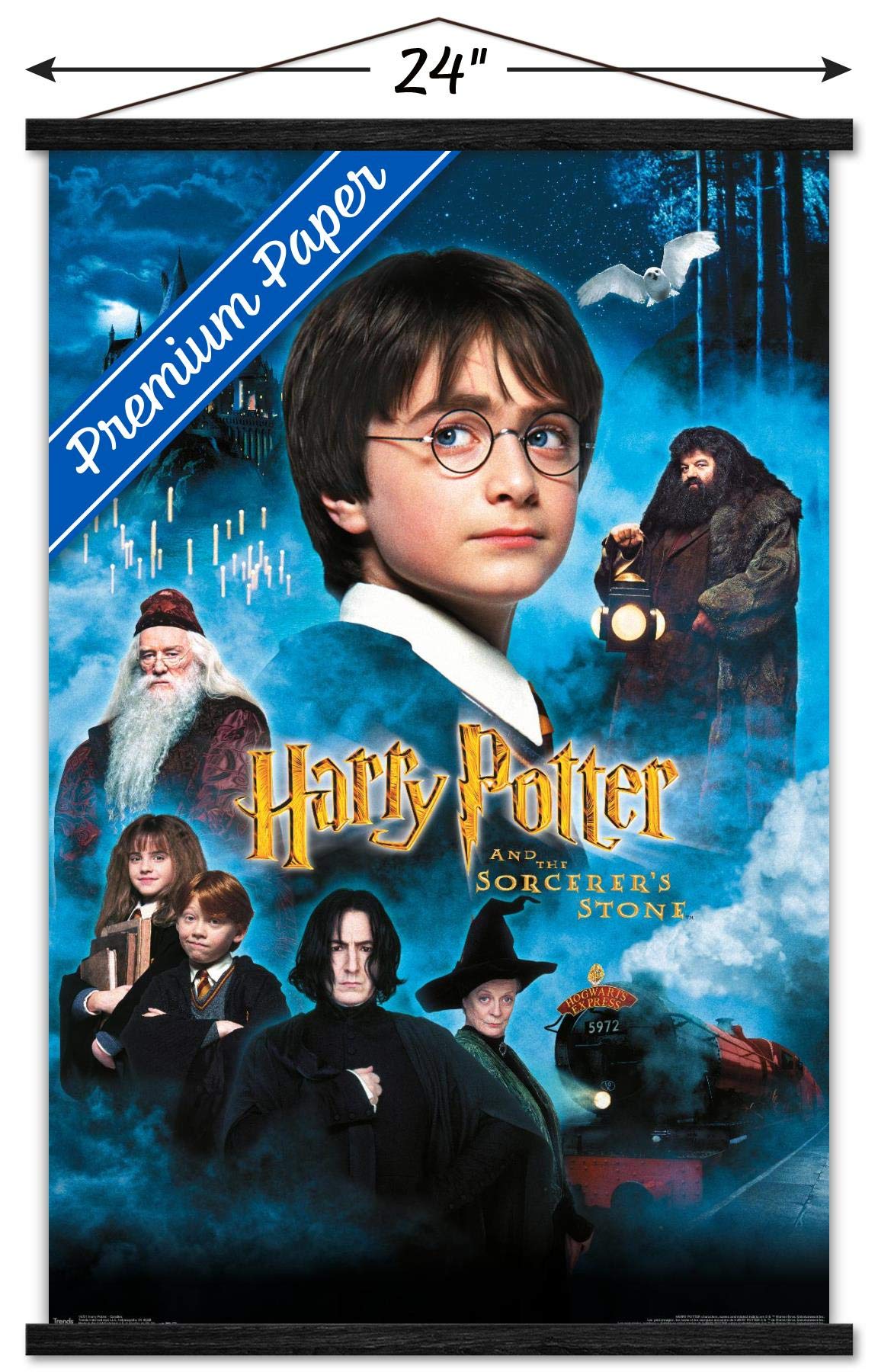 Trends International Harry Potter and the Sorcerer's Stone Wall Poster - 22.375