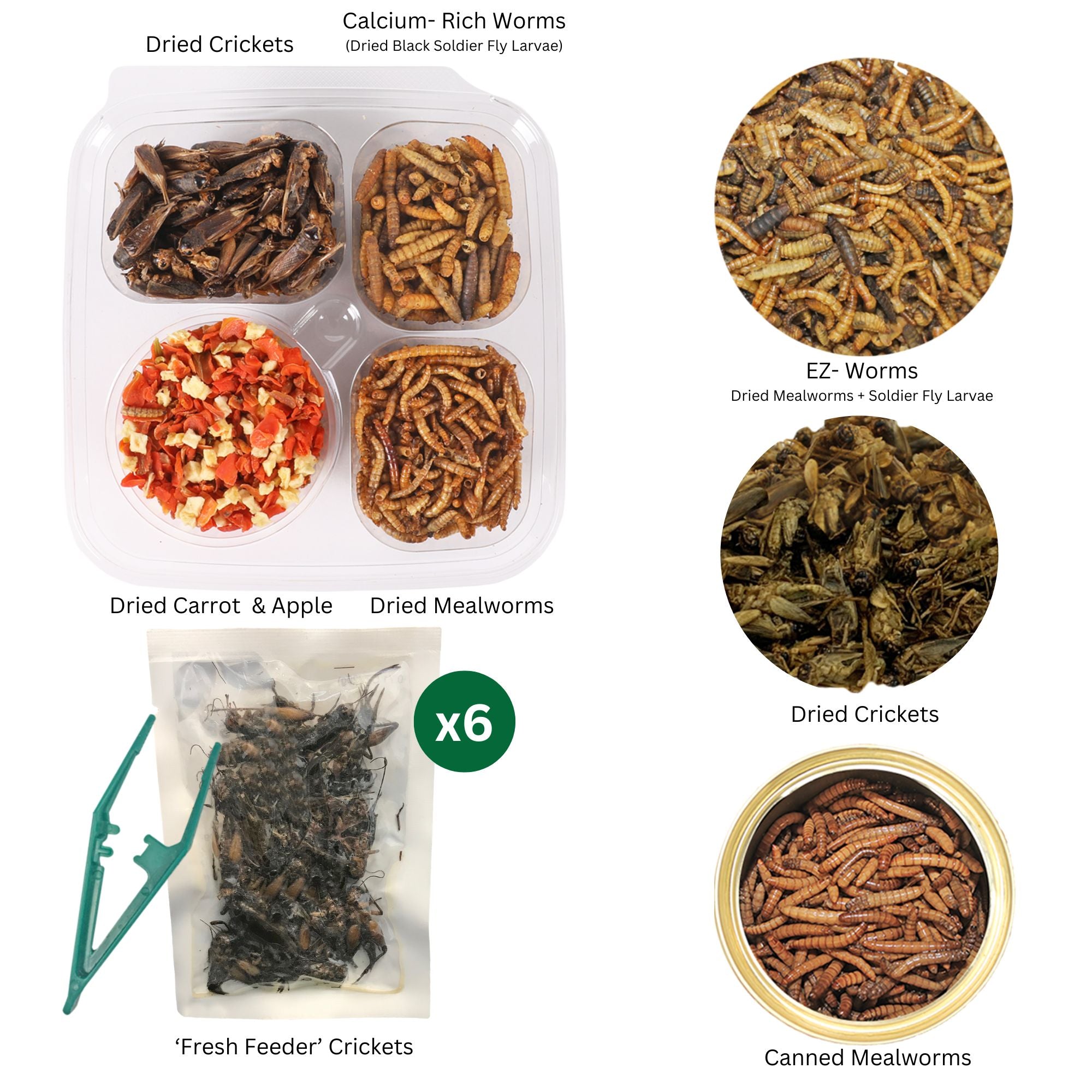 Premium Hedgehog Treat Sampler - Healthy Snacks for Pet Hedgehogs - Assorted Flavors for Small Animals - Perfect for Bonding & Training Treats
