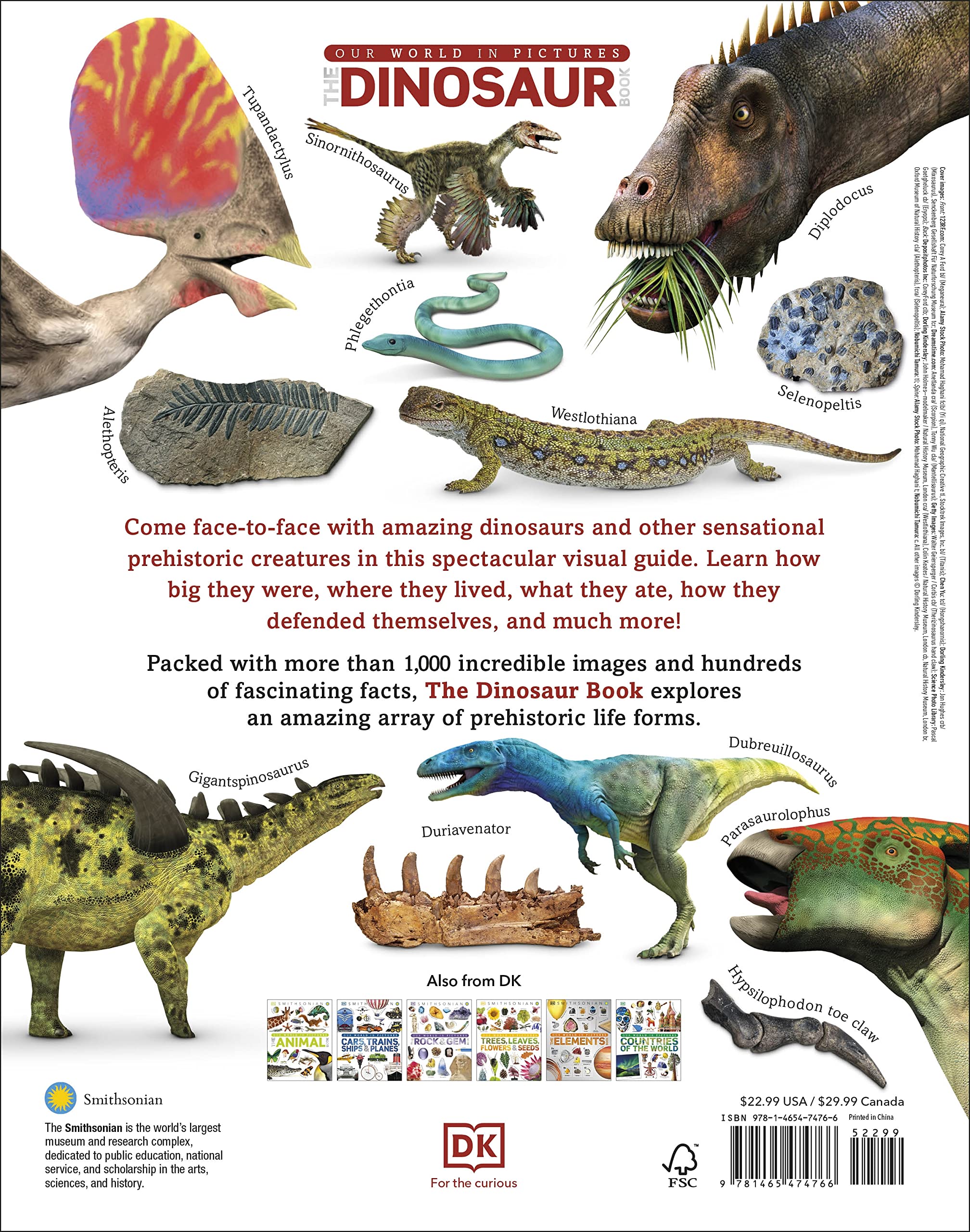 The Dinosaur Book - Educational Kids Book About Dinosaurs for Children | Perfect for Learning, Gifts & Bedtime Reading