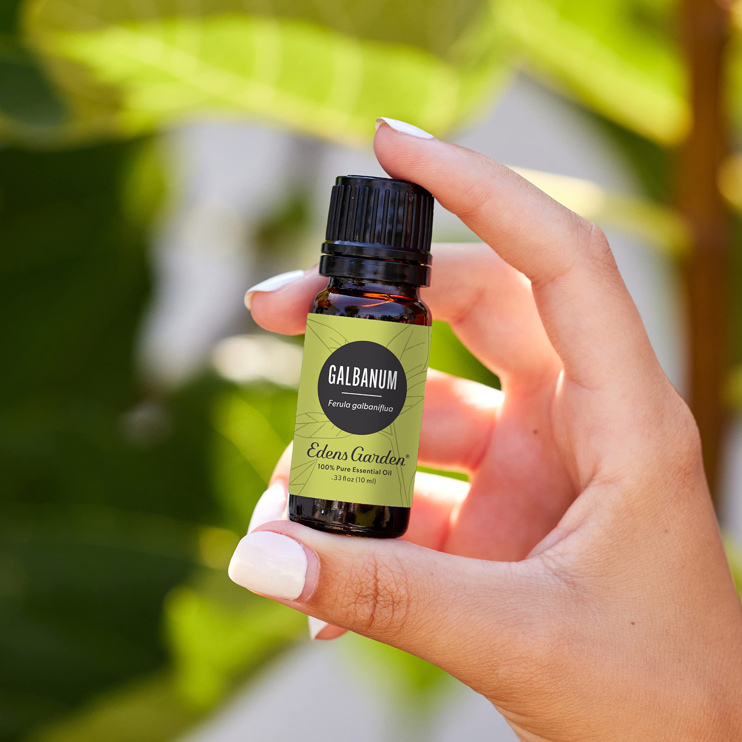 Edens Garden 100% Pure Galbanum Essential Oil - Premium Grade, Undiluted, Natural Therapeutic Aromatherapy Oil for Diffusers, Skin Care, Candles & Laundry (10ml / 0.33 fl oz) - Relaxation, Stress Relief & Home Fragrance