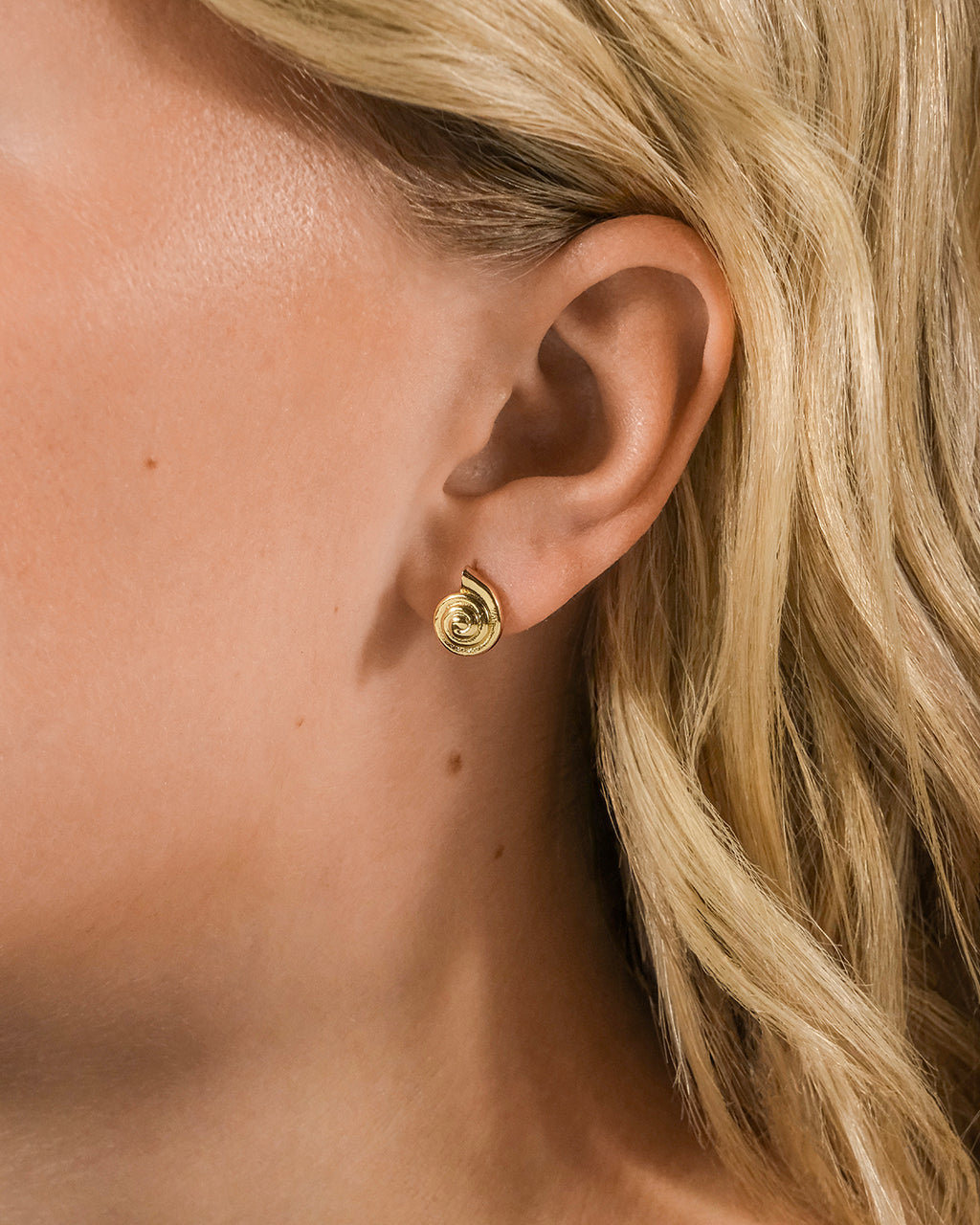 Shark Eye Stud Earrings for Women - Stainless Steel Hypoallergenic Small Hoop Earrings - Perfect for Everyday Wear, Gifts, and Casual Outfits
