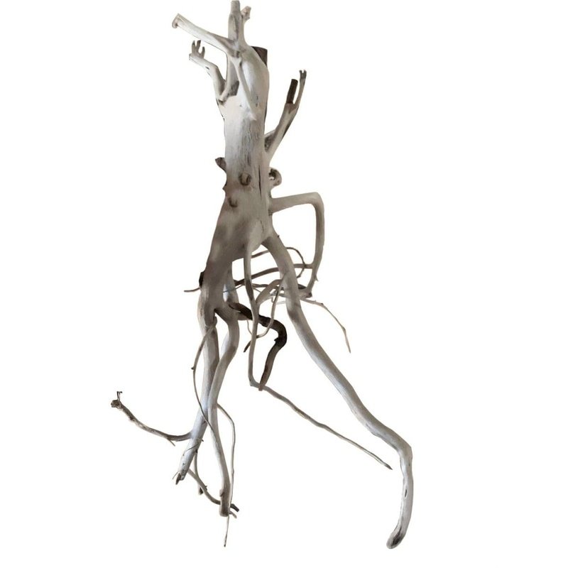 Premium Bioscape Phantom Driftwood 20-30cm for Aquarium Decor | Natural Wood for Fish Tank, Reptile Habitat & Terrarium Setup | Perfect for Aquascaping, Shrimp Tanks & Zen Gardens