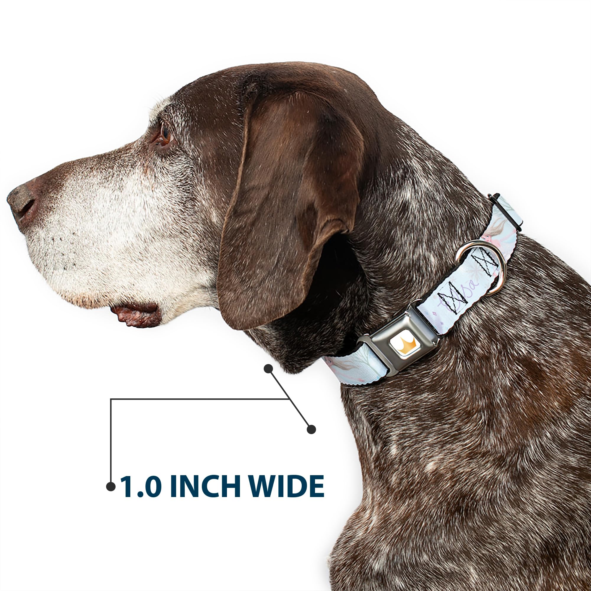 Frozen Elsa Snowflake Dog Collar with Seatbelt Buckle - 20 to 31 Inches, 1.5 Inch Wide - Perfect for Disney Fans & Safe Car Rides