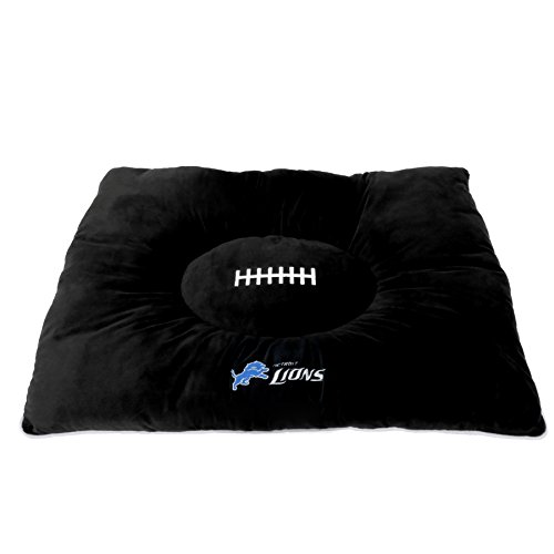 Detroit Lions