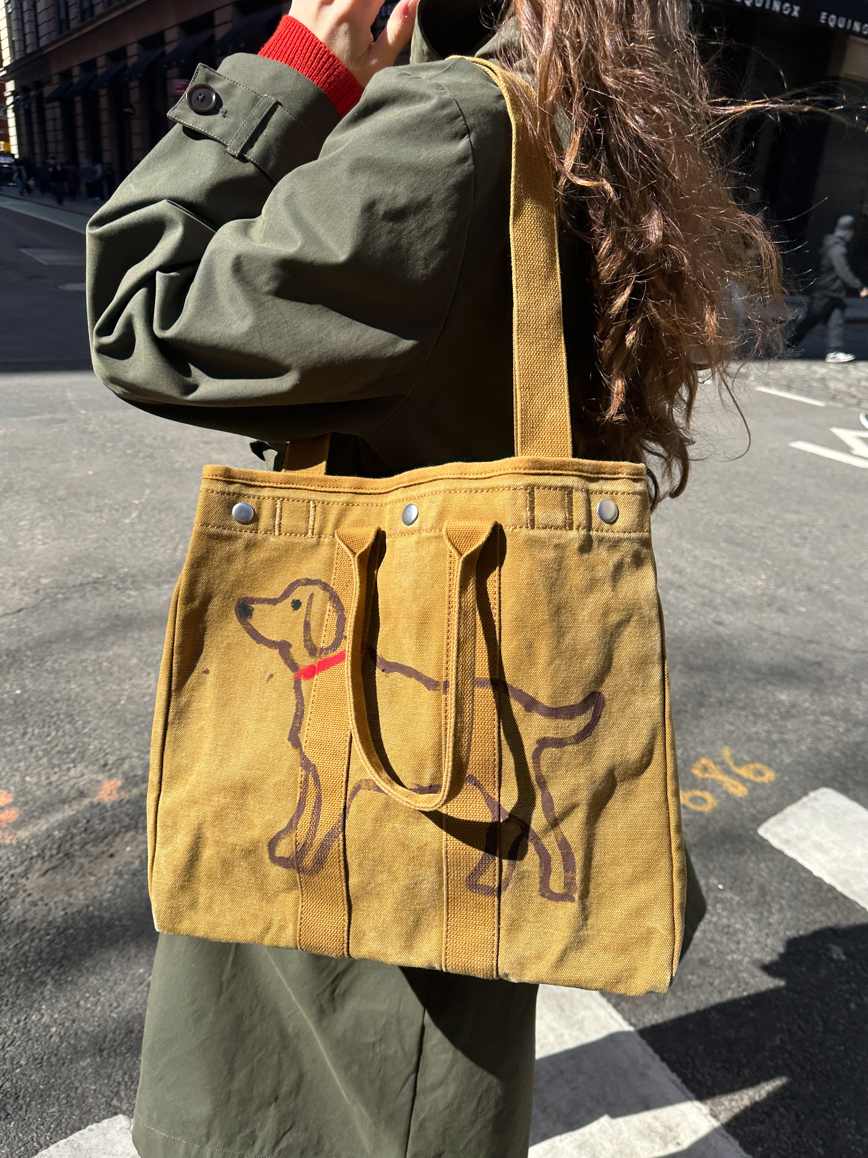 Stylish and Durable Dog Tote Bag for Weekday Adventures - Perfect for Work Commutes, Park Visits, and Pet-Friendly Outings