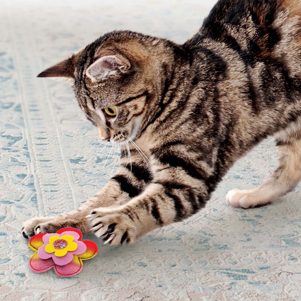 Kong Crackles Bloomz Interactive Cat Toy - Crinkle Sound & Feathers for Playful Kittens - Perfect for Indoor Play & Exercise