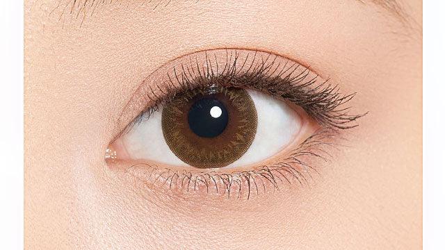 Minette 1 Day Layer Marron Brown Colored Contact Lenses (10 Pack) - Perfect for Halloween, Cosplay & Daily Fashion Enhancement