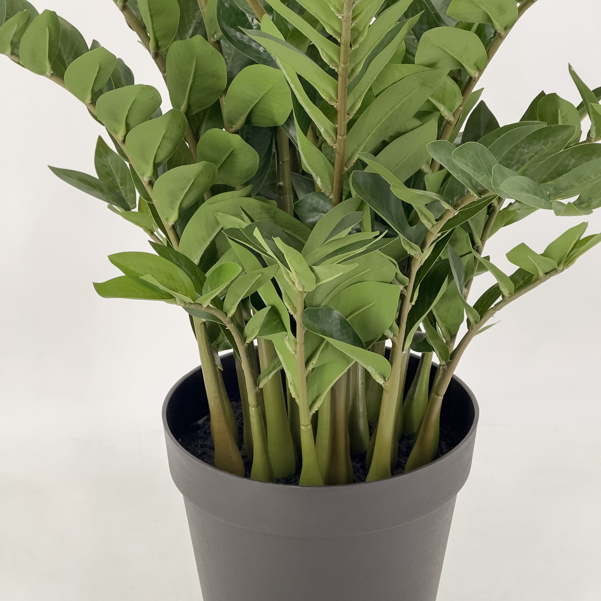 Artificial ZZ (Zanzibar) Plant 115cm - Lifelike Fake Indoor Tree for Home Decor, Office, Living Room - Low Maintenance Houseplant Alternative