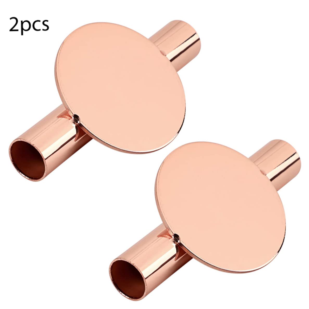 Modern Rose Gold Wall Hanging Planter Propagation Station - 2PCS Wall Mounted Tube Vase for Flowers, Buds & Dried Plants - Elegant Home & Garden Decor for Living Room, Bedroom, Balcony or Wedding Decorations