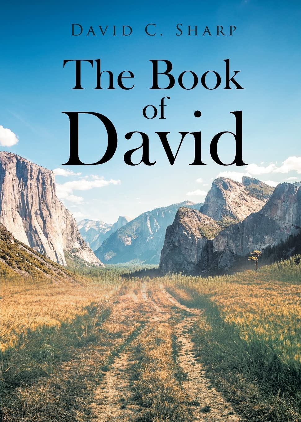 The Book of David - Inspirational Novel for Spiritual Growth & Self-Discovery | Perfect for Book Clubs, Bible Study Groups & Personal Reflection