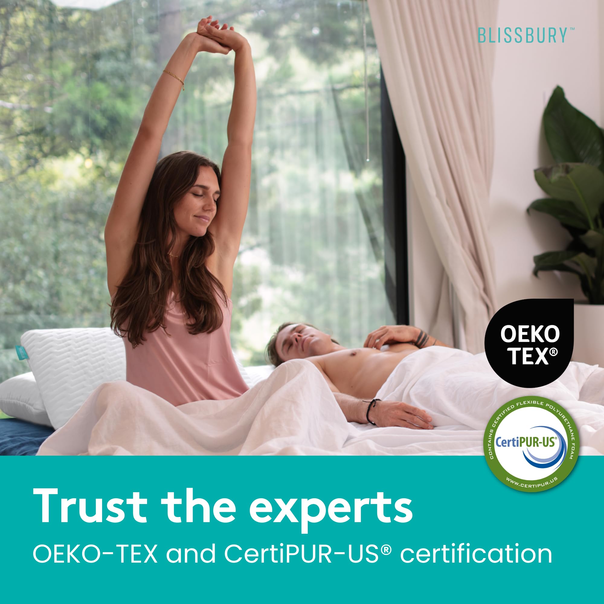 BLISSBURY King Size 2.6 Inch Ultra Thin Memory Foam Pillow for Back & Stomach Sleepers | Certified Neck & Back Support | Hypoallergenic Removable Cover | Perfect for Side Sleepers, Travel & Home Use