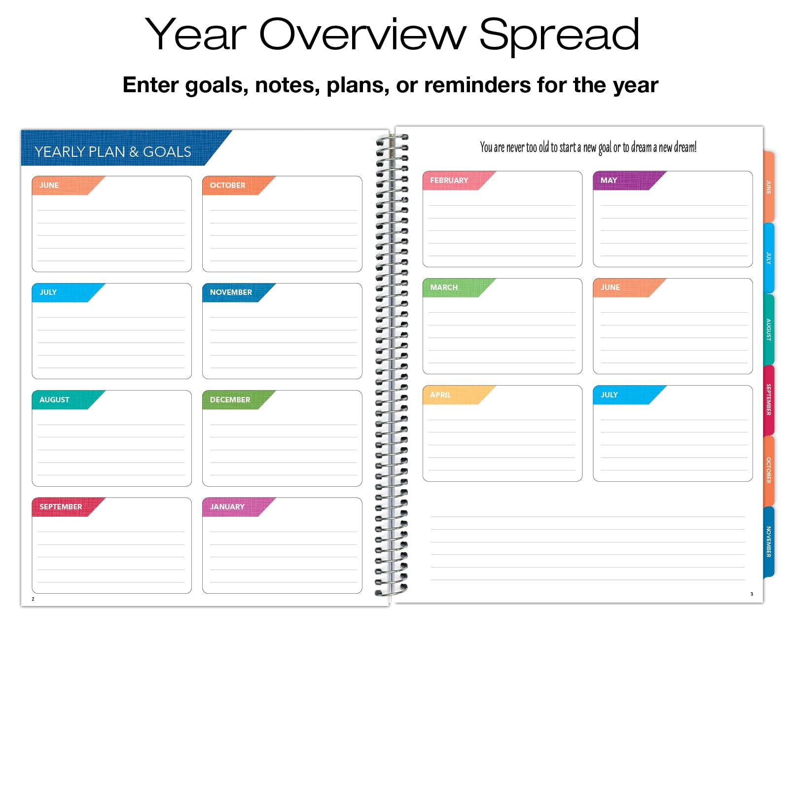 2024-2025 Colorful Botanicals Monthly & Weekly Planner - 8.5