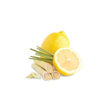 Organic Yum Matcha Green Tea with Citron Lemongrass Flavor - 10 Single Serve Packets in Tin Can | Perfect for Office, Travel & Healthy Lifestyle
