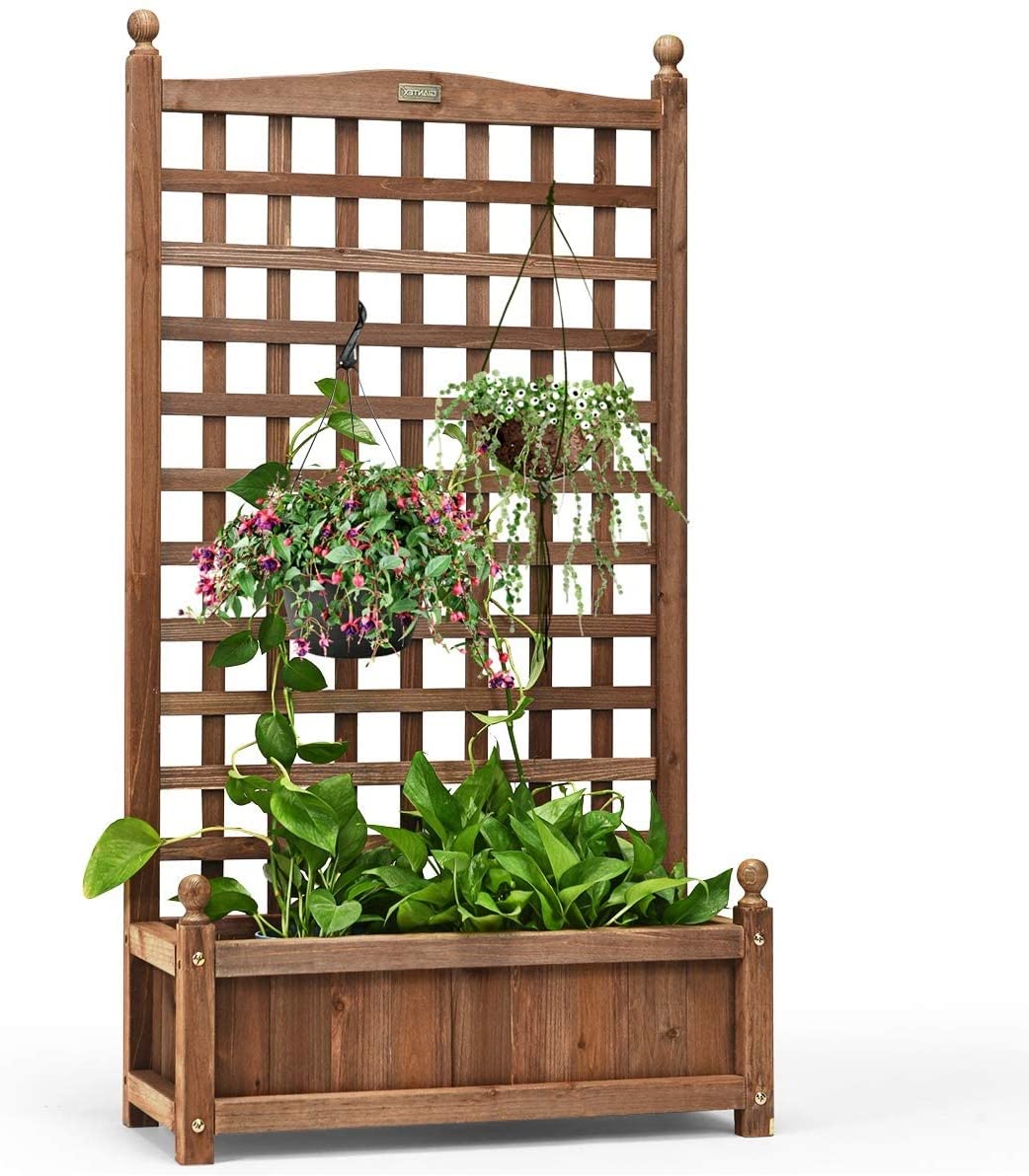 GRAFFY Wooden Raised Garden Bed with Trellis - Outdoor Planter Box for Climbing Plants, Vegetables & Flowers - Free Standing Elevated Planter with Drainage Holes - Perfect for Patio, Backyard & Small Space Gardening