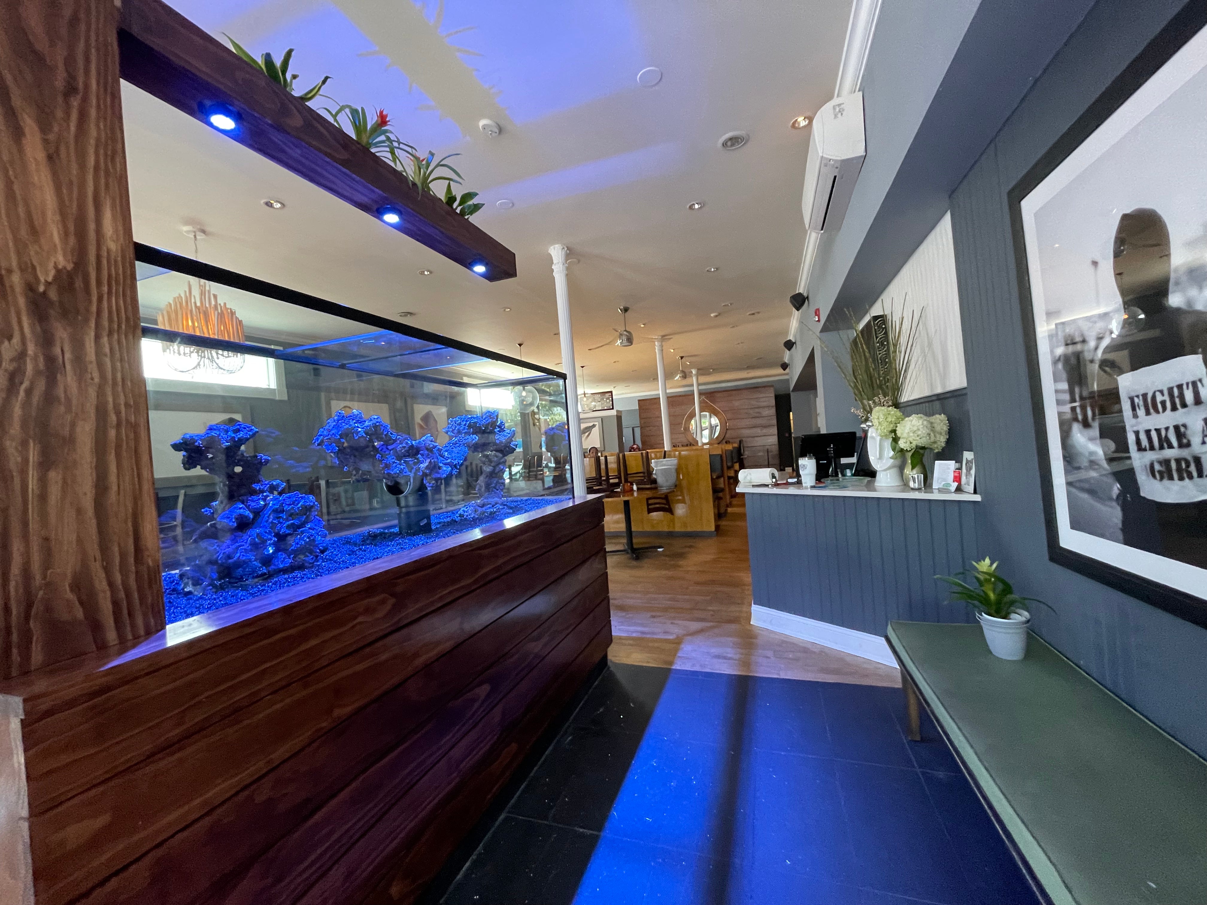 Custom Glass Aquarium Tanks - Handmade Fish Tank for Home & Office Decor | Perfect for Saltwater & Freshwater Fish, Reptiles, and Aquatic Plants
