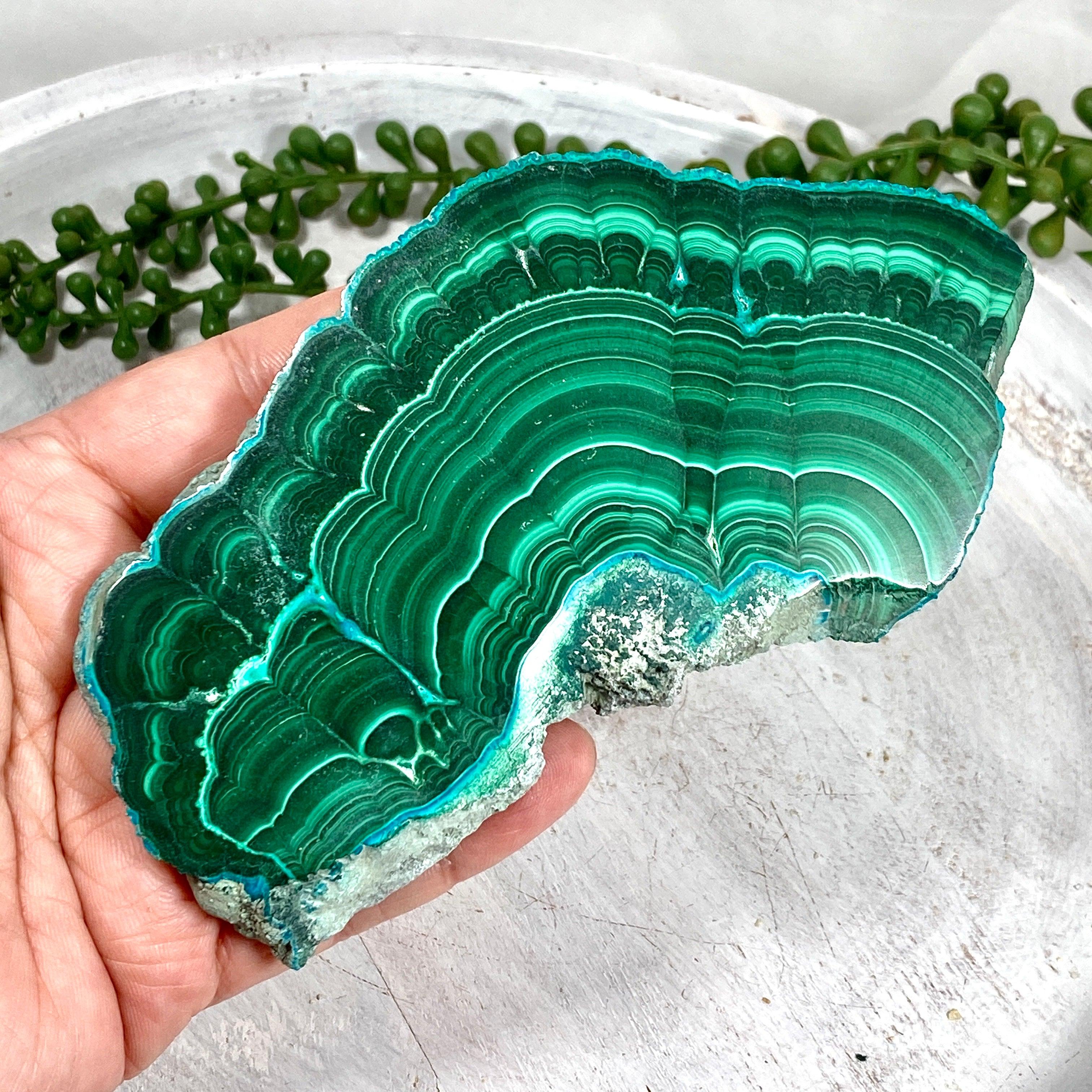 Natural Malachite Slice CR3539 - Unique Green Crystal Stone for Home Decor, Jewelry Making & Healing Crystals Collection - Perfect for Meditation, Feng Shui & Gift Giving